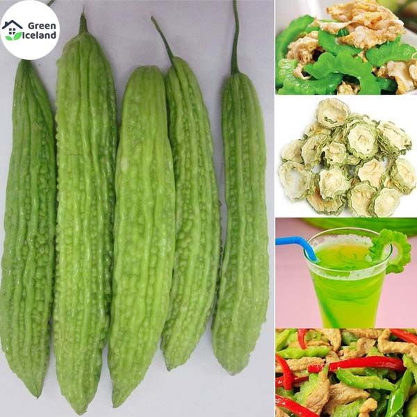 20 Pcs Hybrid F1 Balsom / Bitter Seeds (করলা বীজ) - 20 Pcs Seeds