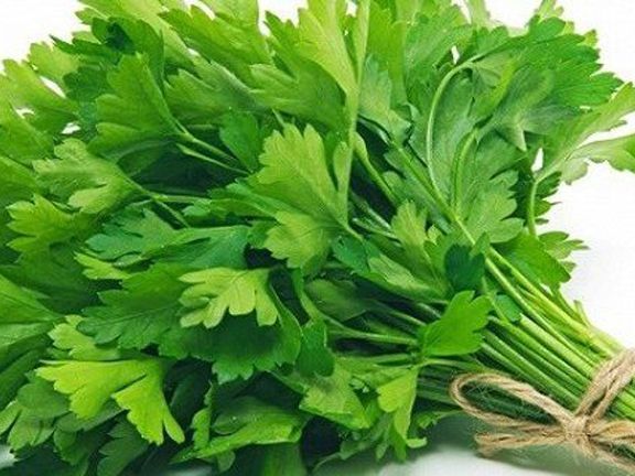 Coriander Seeds - 50 Pcs ইনটেক প্যাকেট