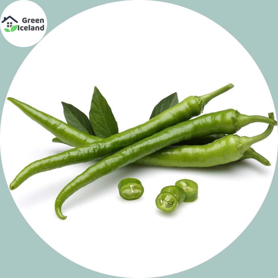 20 Pcs Organic Green Chili Seeds (???? ???) - 20 Pcs Seeds