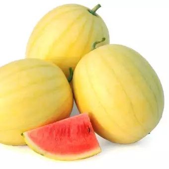 Huangxiao Fu small yellow watermelon bonsai 10 pcs healthy vegetable bonsais-10 pcs seeds