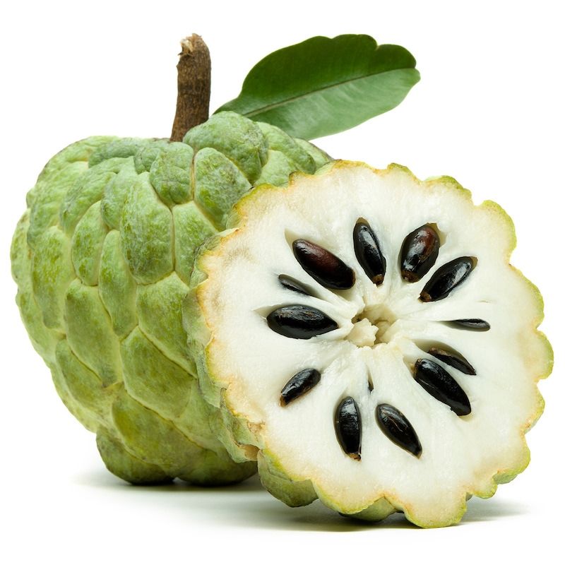 Sugar free Apple flores organic fruit and vegetable plantas Apple Custard Apple Tree bonsai tree plant plante for home garden-5Pcs seeds