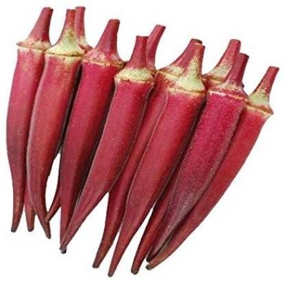 Red Okra Burgundy F1 Hybrid Vegetable Seeds (LADIES FINGER) Seed -40 Seeds.
