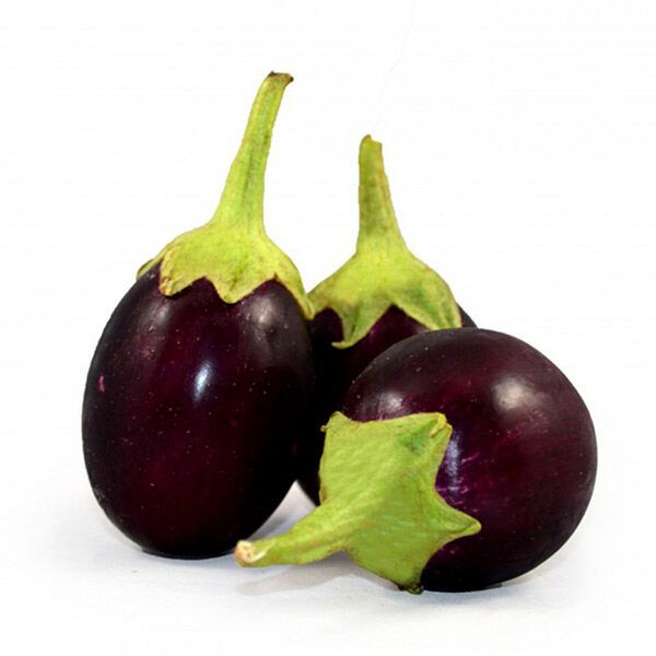 20 Pcs Organic Deshi Brinjal Seeds
