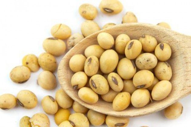 30 Pcs Global Soybean Tree Seeds (?????? ???)