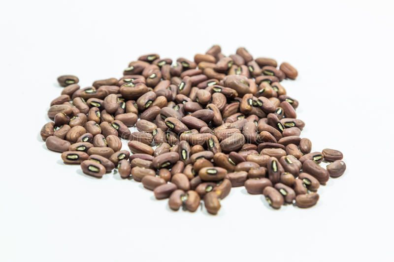 Long Bean Seeds (?????? ???) 50Pcs seeds