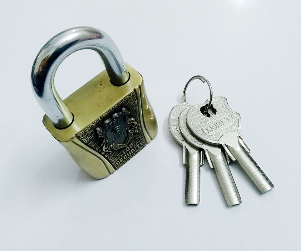 Anti-Theft Lock Lionet Padlock Metalic Bronze 60 MM Door Lock