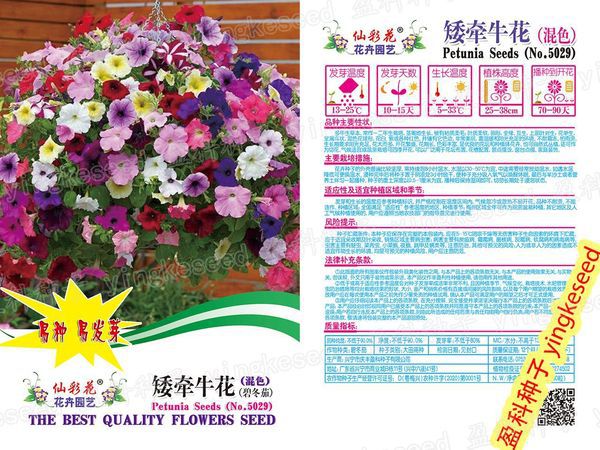 Multicolor Beautiful Hanging Petunia Seeds Intake Packet - 100pcs Seeds (China Global Seeds)