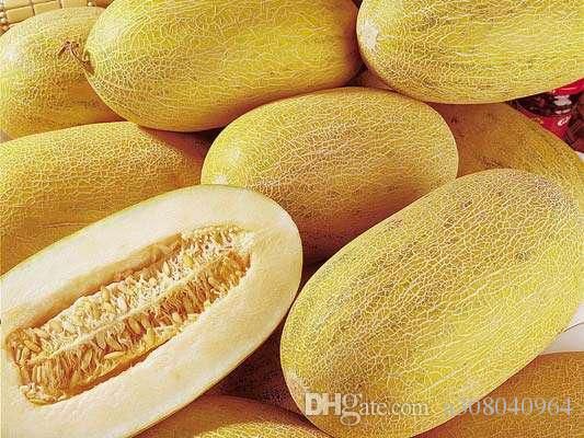Cantaloupe Honey Melon seeds Dew Green Flesh Great Heirloom Vegetable 30 Seeds