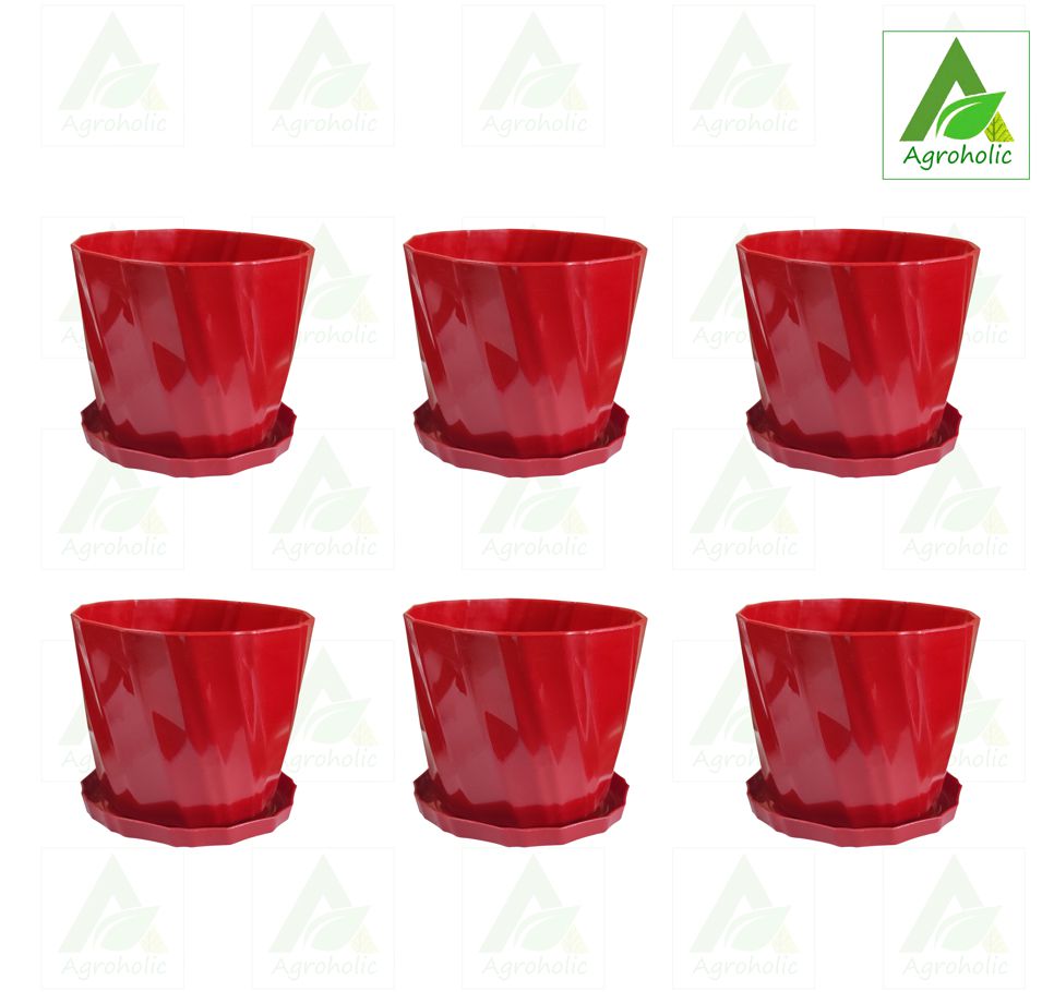 4 Inch Camellia Planter With Tray - 6 Pcs