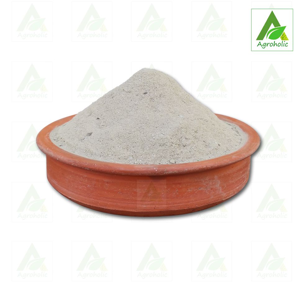 Oyster and Snail Powder (Jhinuk & Shamuk) For Plants  -  500 gm