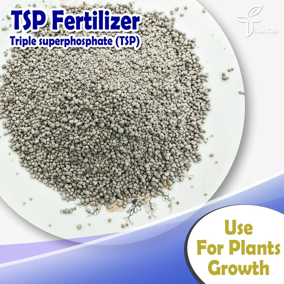 TSP Fertilizer (Triple superphosphate) For Plants - 2 kg