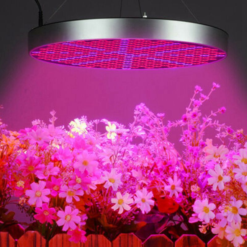 50W Full Spectrum LED Grow Light Panel Growing Lamp Hydroponics Indoor Flower EU Plug