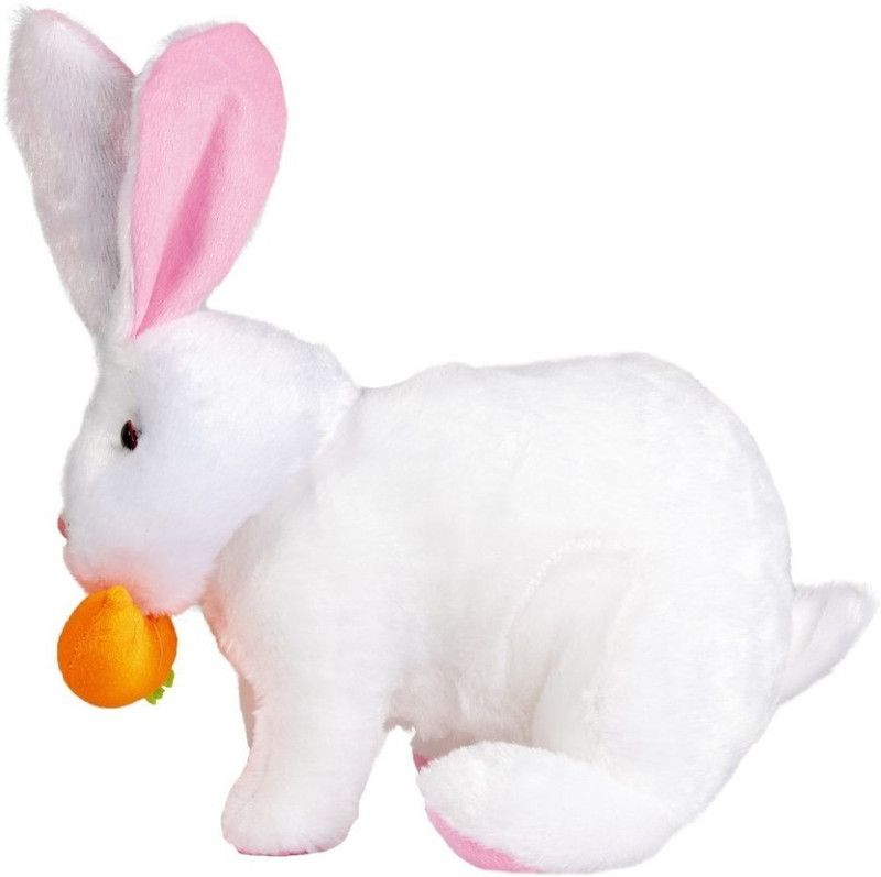 ARD ENTERPRISE Carrot rabbit Stuffed Toy-white  (White)