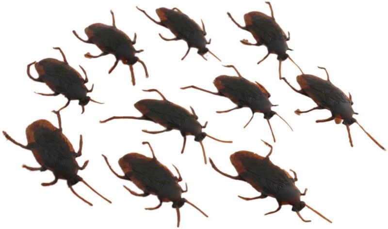 Shoppernation Scary Prank Fake Cockroach Toy Gag Toy  (Multicolor)