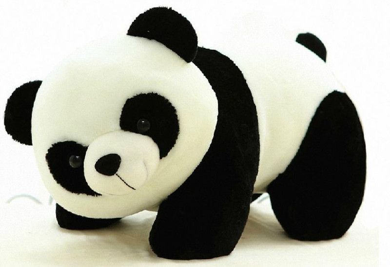 MGPLifestyle Cute & Innocent Panda Soft Toy-40cm - 9 cm  (Multicolor)