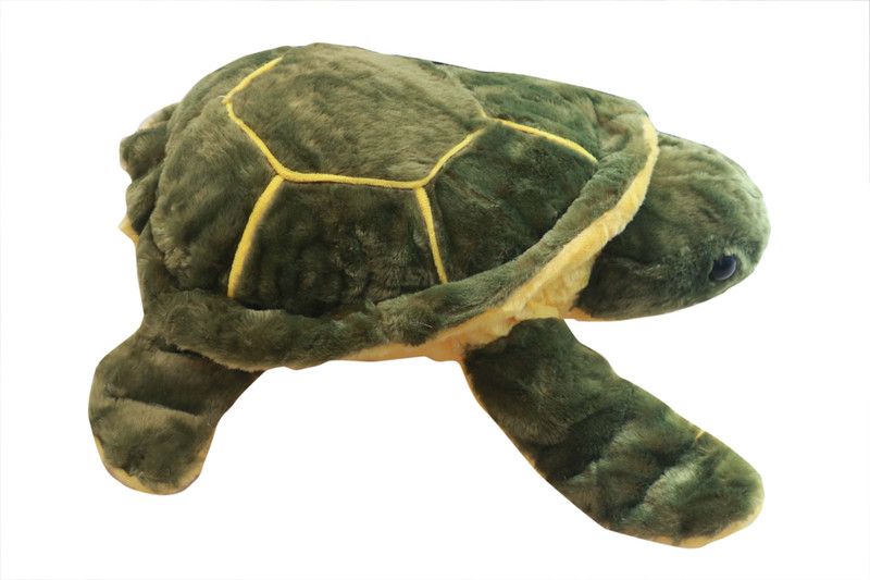One Up Good Luck Tortoise Soft Toy - 25 cm  (Green -17)