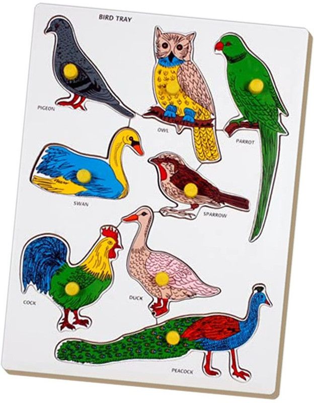 Cyrus GOOD PRICE Wooden Educational Learning BIRDS BOARD Puzzle for Kids  (Multicolor)