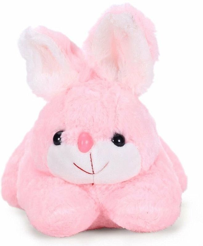 DTSM Collection Rabbit Teddy Best Gift For Couple High Quality Rabbit - 25 cm  (Pink)