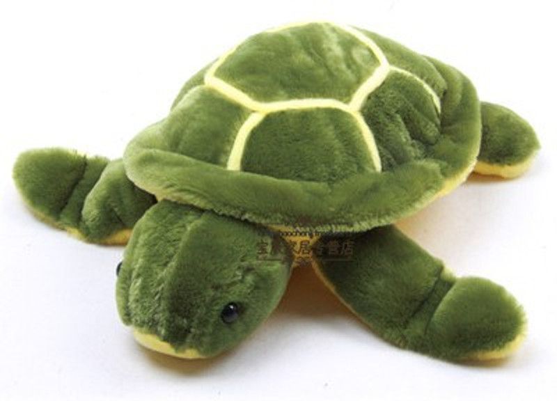 Shopnow Turtle - 10 inch  (Green)