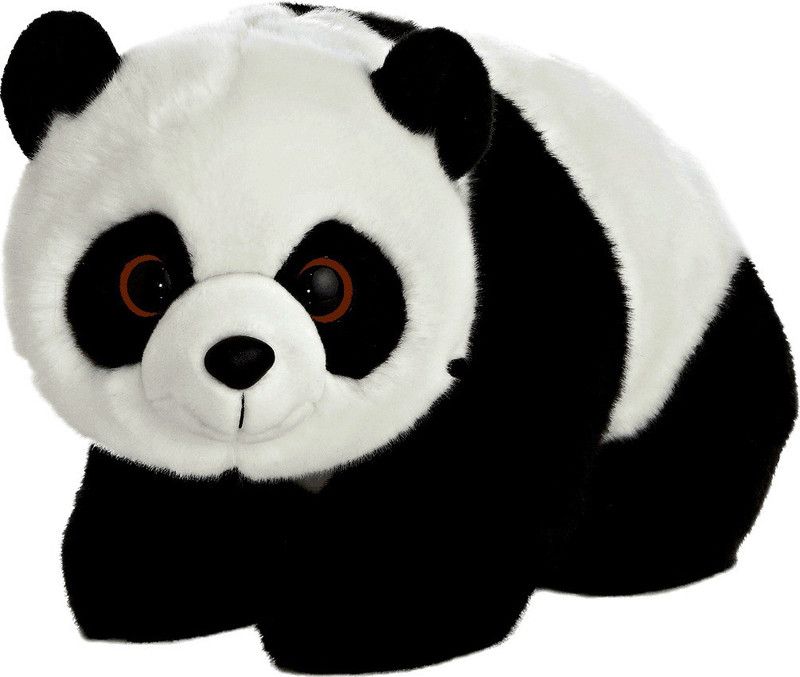 Yakeen Premium - 26 cm  (Black, White)