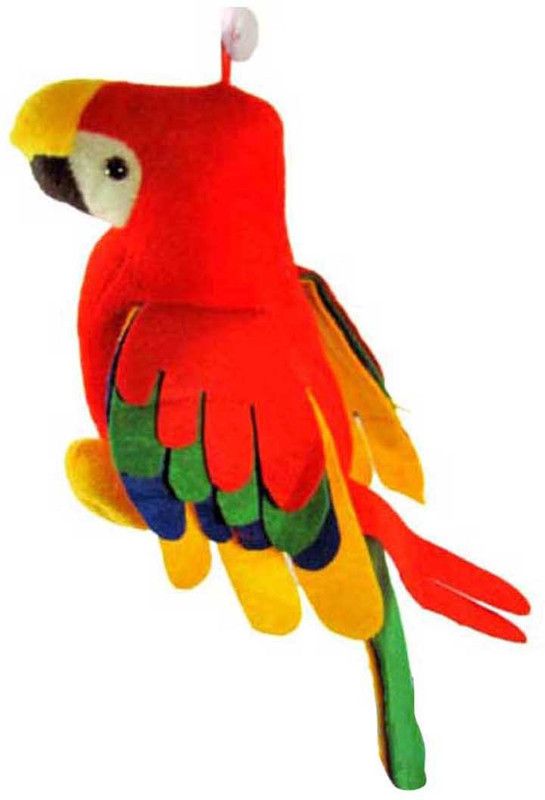 Galaxy World Parrot And Tortoise Combo - 15 cm  (Multicolor)