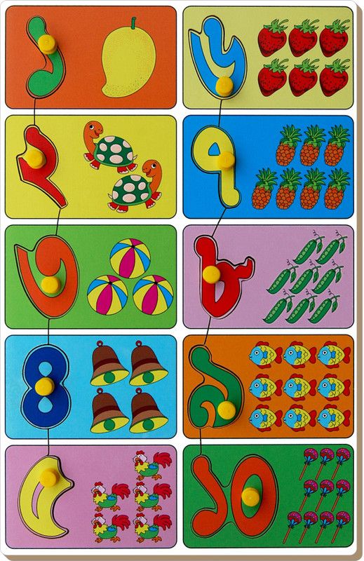 Little Genius Bangla Count and Match Puzzle  (Multicolor)