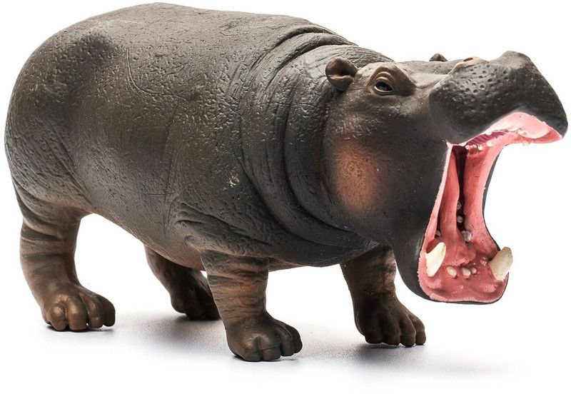 COLLECTA Hippopotamus Figure  (Multicolor)