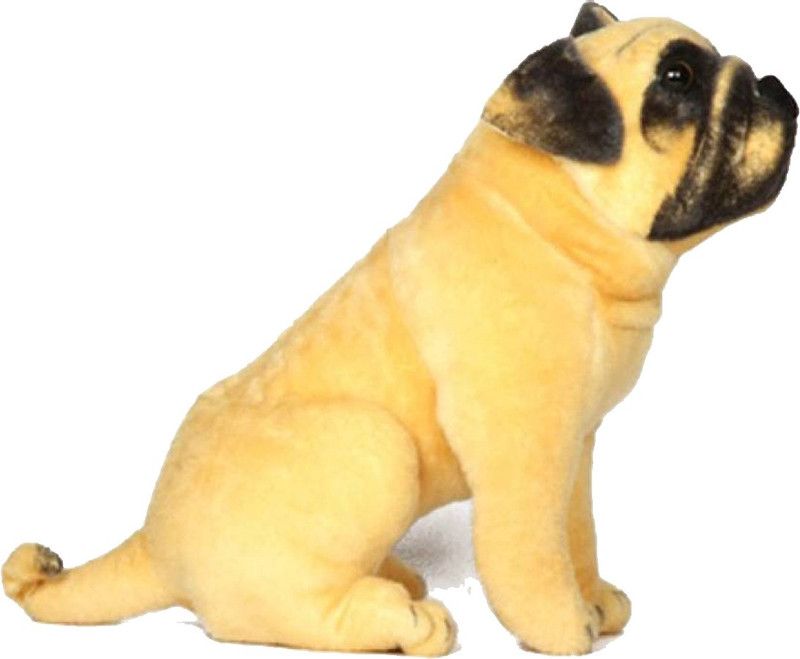 CRAFTKAAR MDLPCKPUG32cm - 29 cm  (Black,White, Brown,Multicolor)