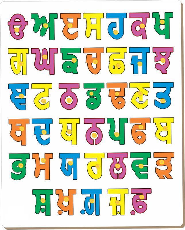 Little Genius Punjabi Consonants with Knob  (Multicolor)