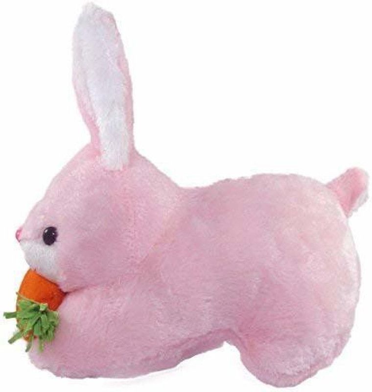 Creadcraft Rabbit Soft toy for kids Playing Teddy Bearpk2 - 25 cm  (Pink)