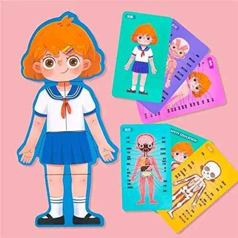 SN toy zone Human Body Structure/Parts Puzzle Toy Set for Kids and Toddlers- Girls  (Multicolor)