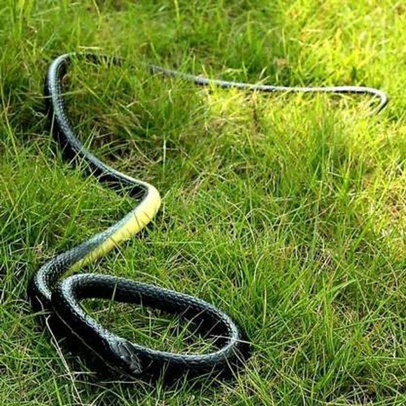 Tricolor Fake Snake/Prank Realistic Fake Rubber Snake Prank Toy Fake Snake Prank Toy Gag Toy (Black) Fake Snake/Prank Realistic Fake Rubber Snake Prank Toy Fake Snake Prank Toy Gag Toy (Black) Gag Toy  (Black)