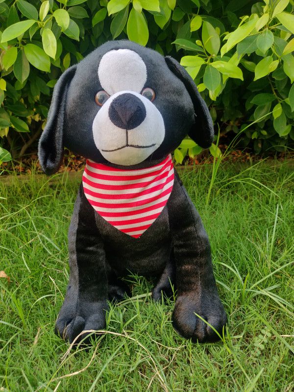 Fun Zoo Collar Dog Soft Toys for Babies Soft Washable Plush Animal Figure Toys for Kids - 45 cm  (Black)