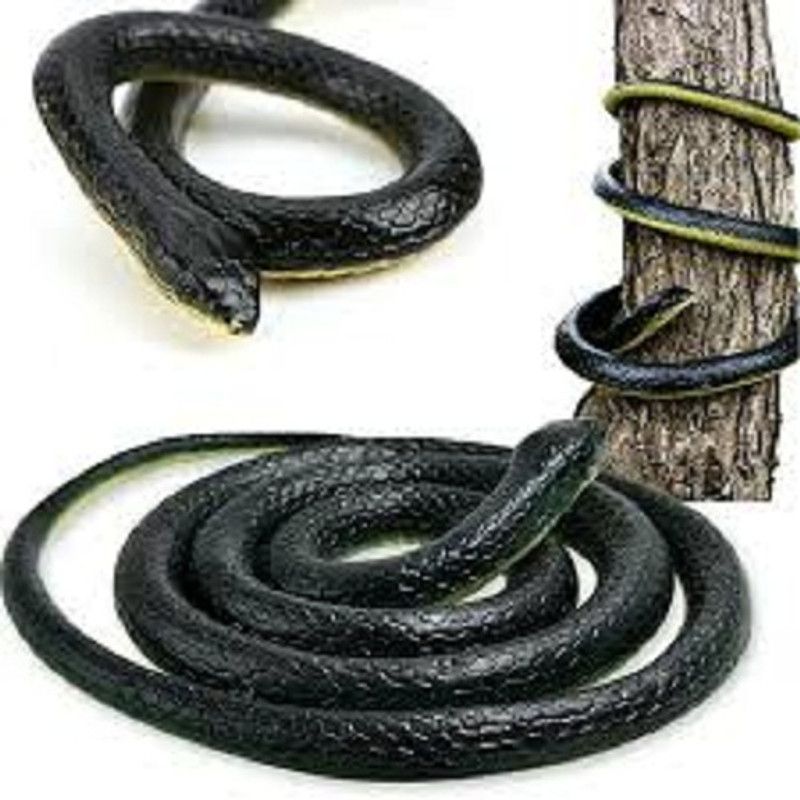 s yuvraj xz32 rubber snake prank toy Gag Toy
