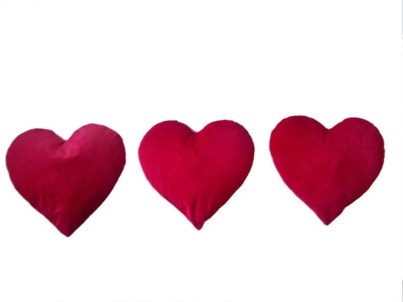 Play N Pets Heart - 40 cm  (Red)