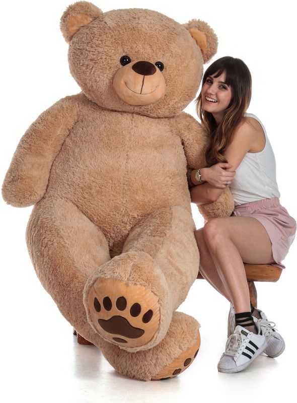 KUNZ 2 Feet Brown Teddy Bear for Girls and Kids Birthday - 60 cm  (Brown)