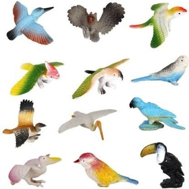 MARATHON Beautiful Birds Toy Figure Play Set for Kids (Pack of 12) (Multicolor)  (Multicolor)