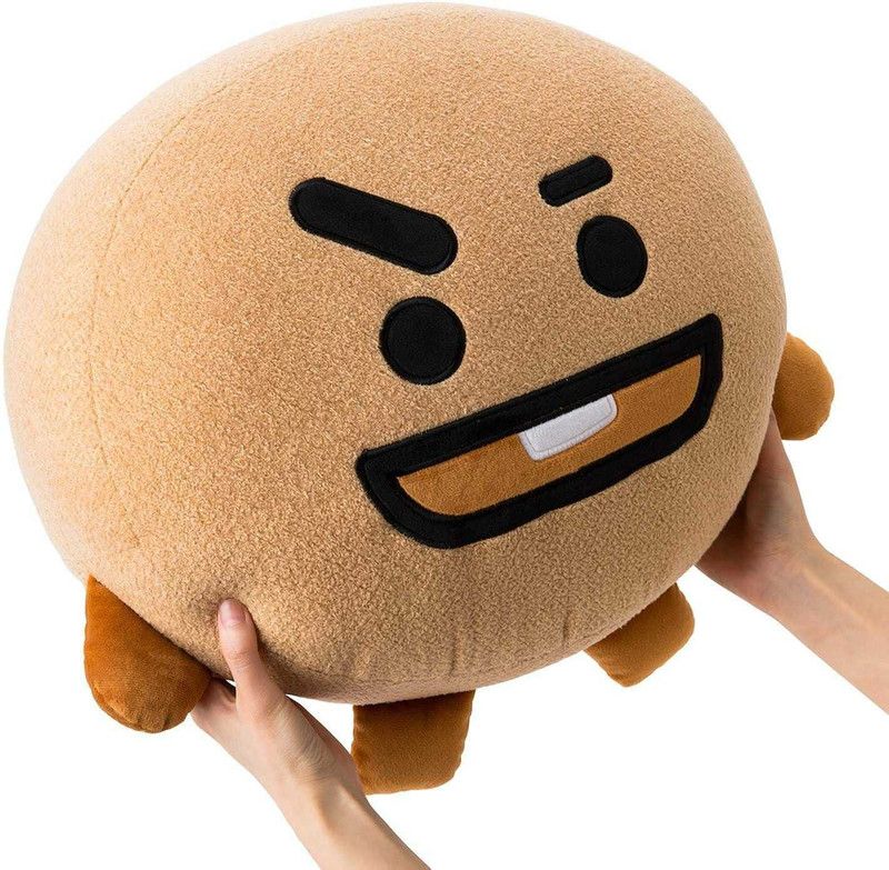 Crazy Gifters Friendz Shooky BTS plush pillow Animal stuffed Toys Throw Pillow, Blue(Blue) - 25 cm  (Brown)