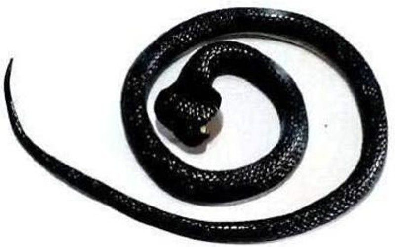 Pepino Rubber Snakes Prank Toy (Black) Cartoon & Anime Figures Gag Toy (Pack Of 1 )`  (Black)