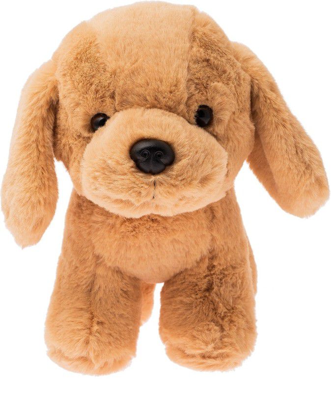 Dimpy Stuff Dog with coller - 22 cm  (Beige)
