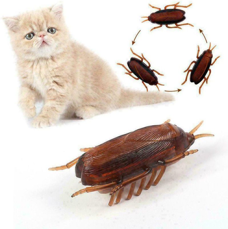 URBANE CHIC Electronic Cockroach Bug Vibrating Prank Toy for Fun - Simulation Insect Crawl Cockroach Gag Toy  (Brown)