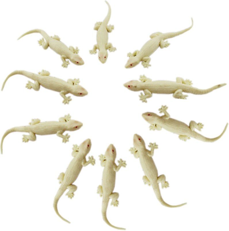 Shoppernation CFNS 03 Lizard Gag Toy