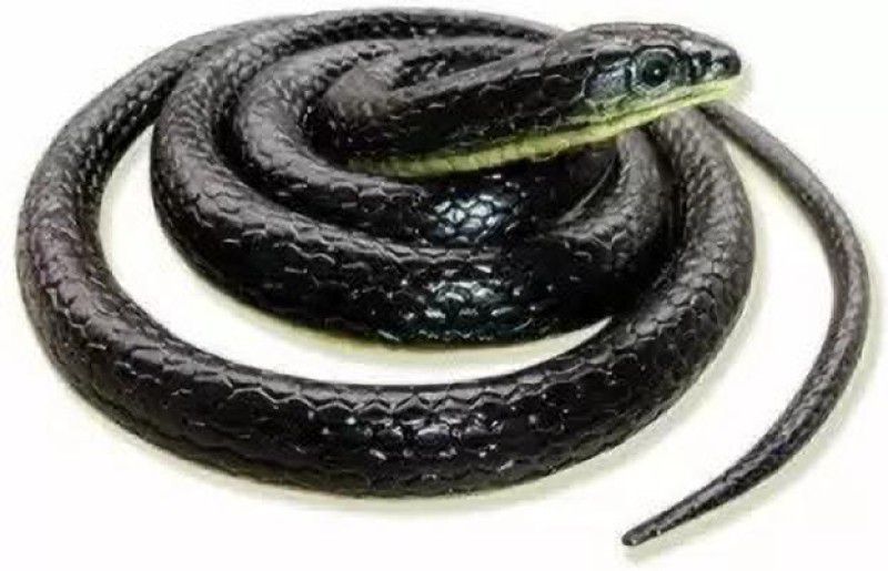 HENDRICKS Fake Snake/Prank Realistic Fake Rubber Snake Fake Snake PrankToy Gag Toy (Black) Snake Toy Gag Toy
