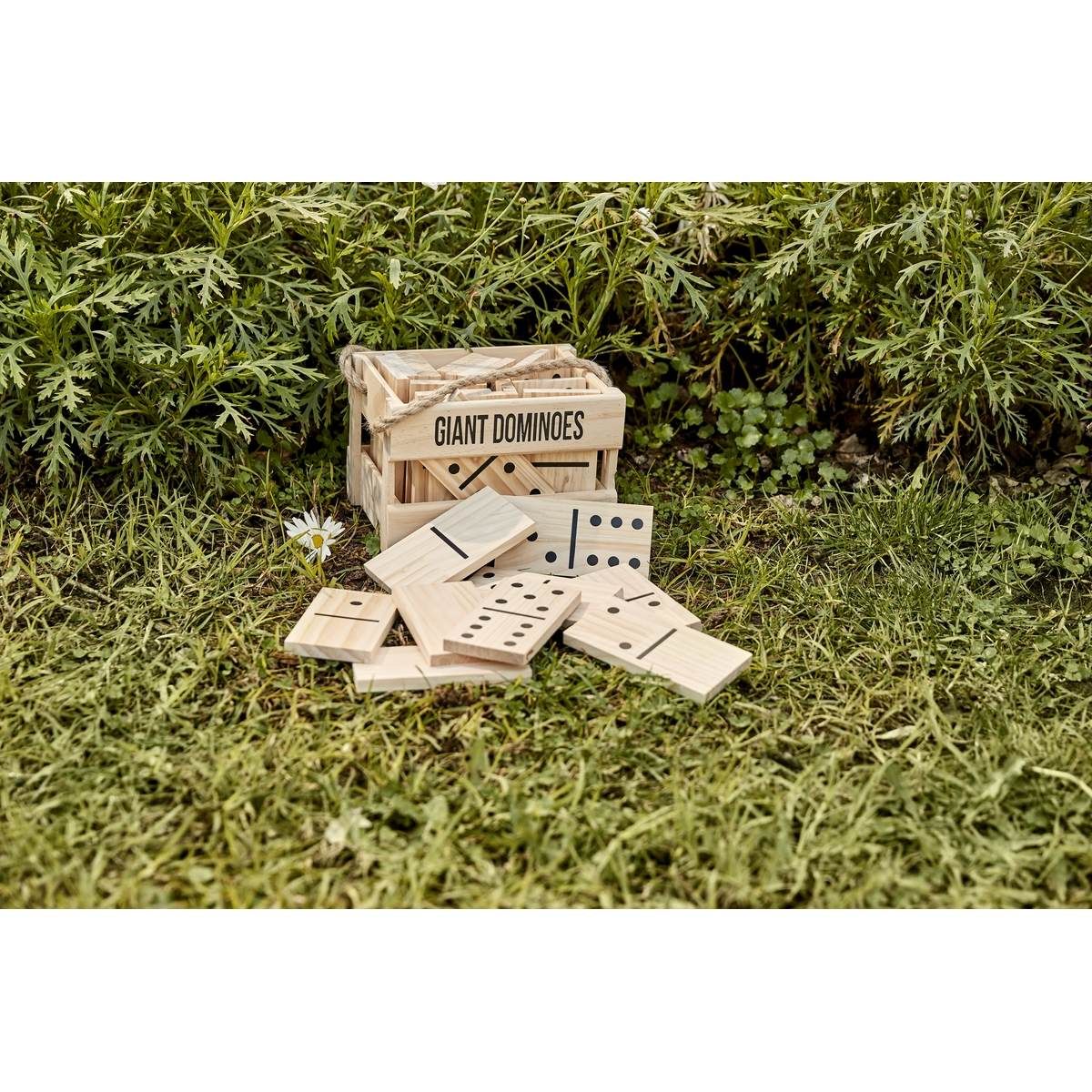 Wooden Dominoes