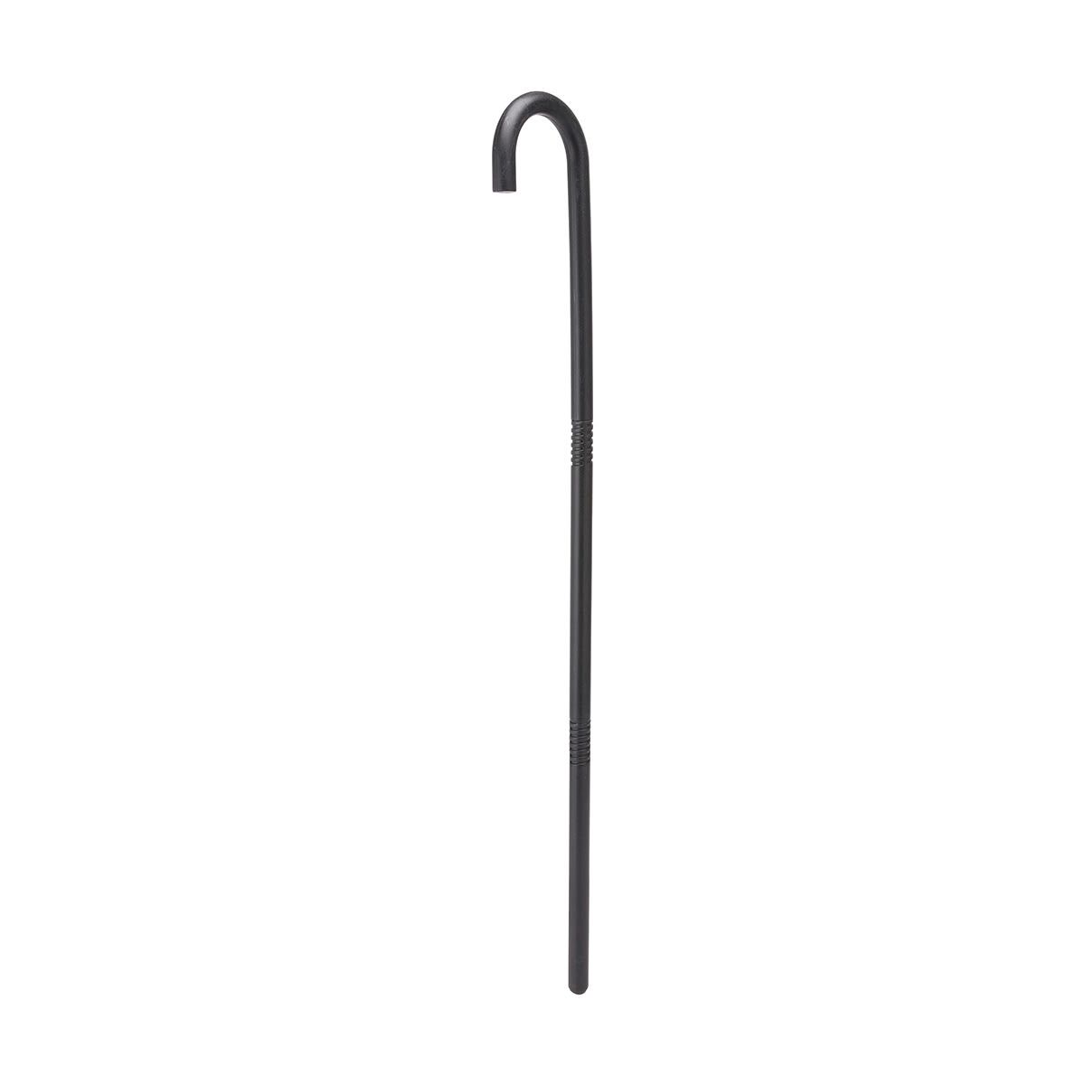 Walking Cane