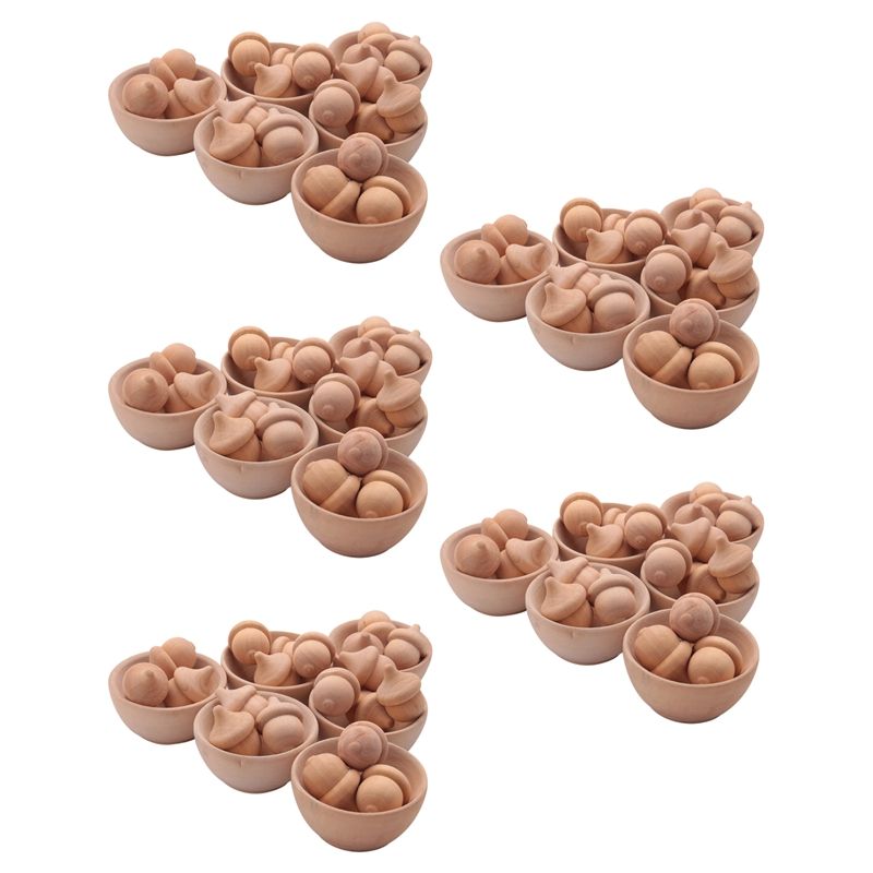5 set Unfinished Wooden Wooden Acorn Natural Wood Counting and Sorting Décor Handicraft Kit DIY