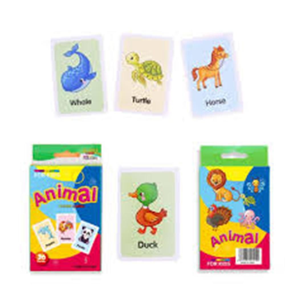 Jungle Animal Flash Cards
