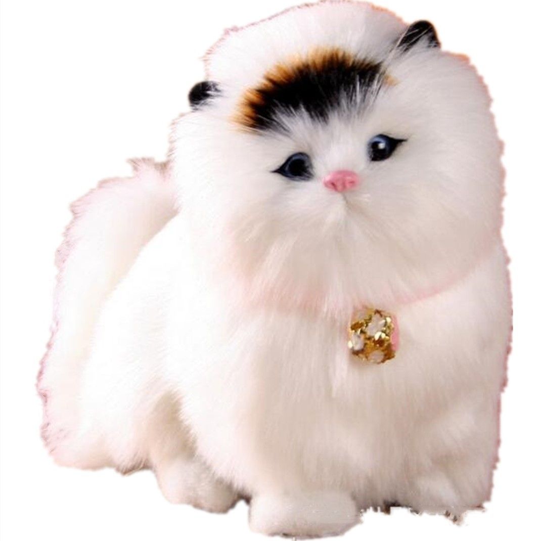 Yfashion ulation l Model  Meow Creative ldren oy Birthday ifts