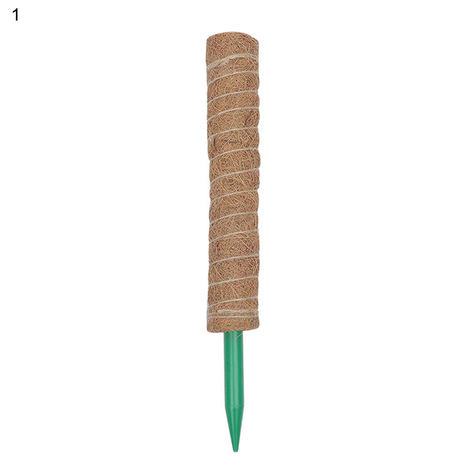 Climbing Stake Durable Creative Fine Texture Stake