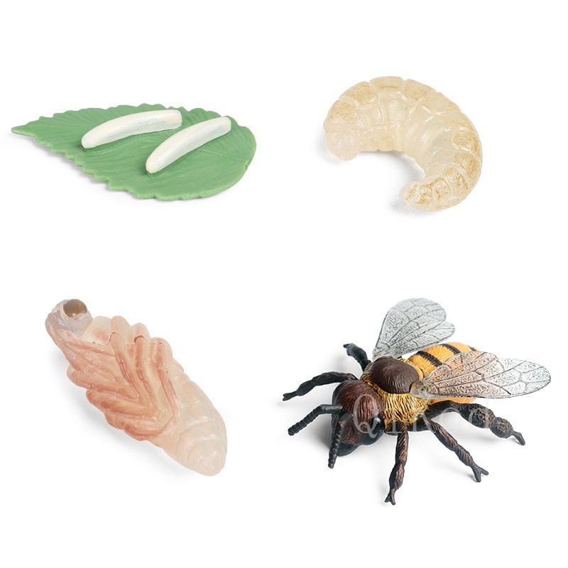 Simulation s Growth Cycle Model Cock Locust Earthworm Snail Action Figures Figurine Lovely Baby Gift Educational Kids Toys